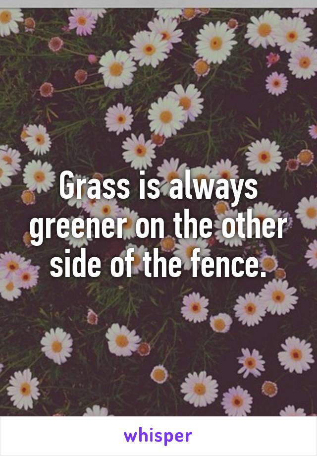 Grass is always greener on the other side of the fence.