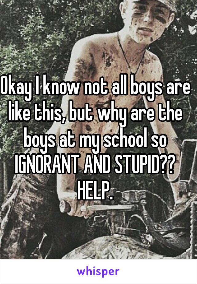 Okay I know not all boys are like this, but why are the boys at my school so IGNORANT AND STUPID?? HELP. 