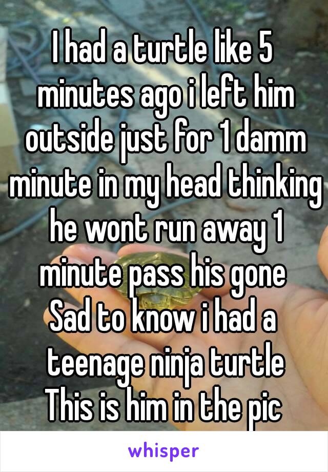 I had a turtle like 5 minutes ago i left him outside just for 1 damm minute in my head thinking he wont run away 1 minute pass his gone 
Sad to know i had a teenage ninja turtle
This is him in the pic