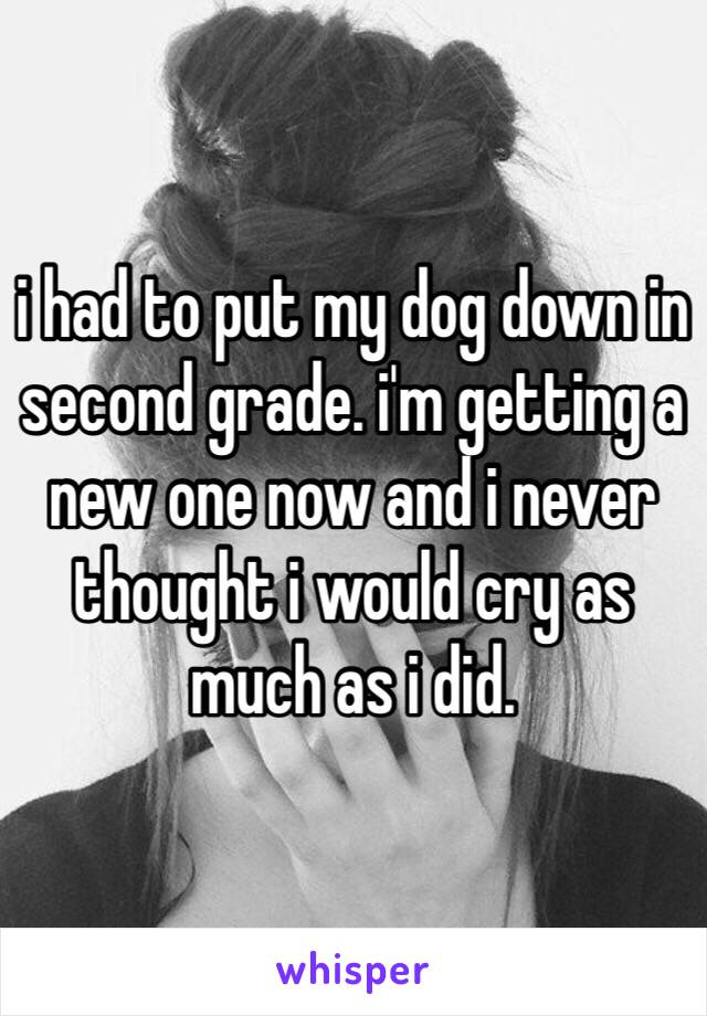 i had to put my dog down in second grade. i'm getting a new one now and i never thought i would cry as much as i did.