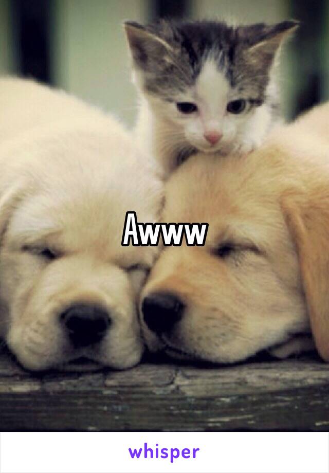 Awww