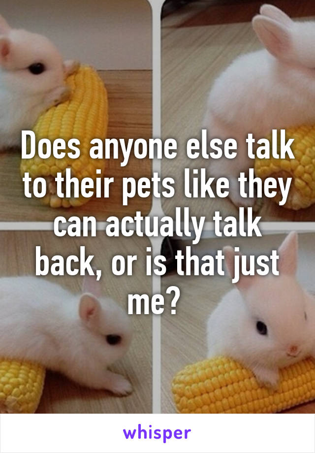 Does anyone else talk to their pets like they can actually talk back, or is that just me? 