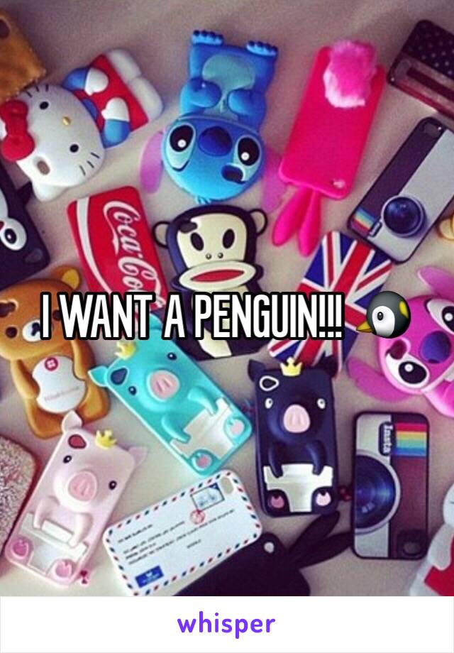 I WANT A PENGUIN!!! 🐧