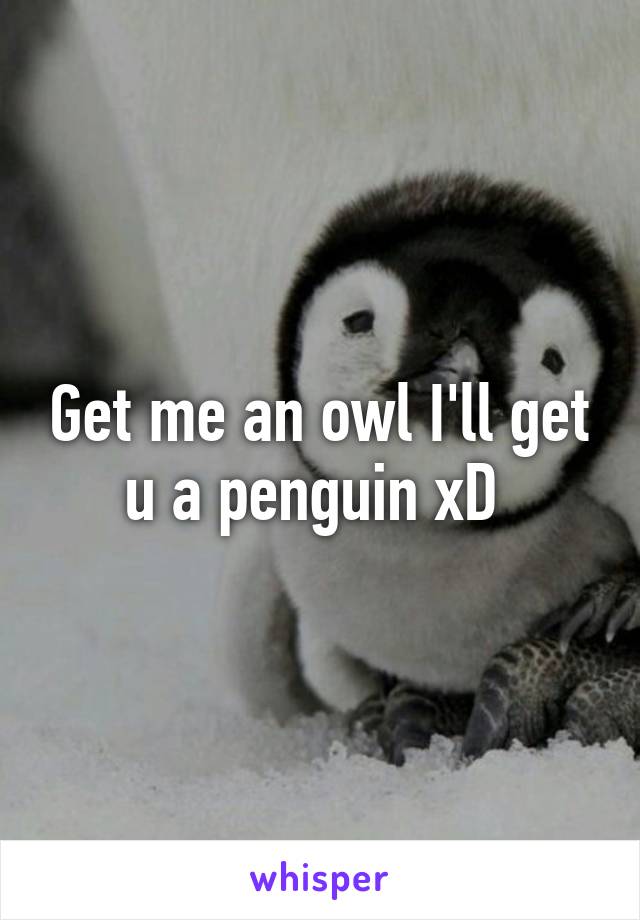 Get me an owl I'll get u a penguin xD 