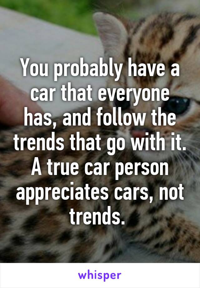 You probably have a car that everyone has, and follow the trends that go with it. A true car person appreciates cars, not trends. 