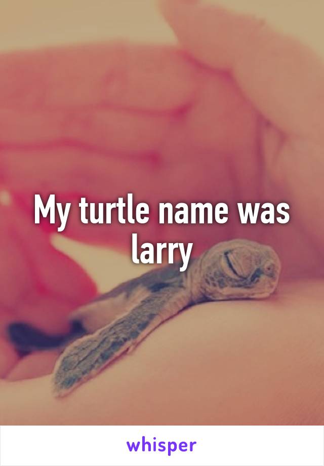 My turtle name was larry