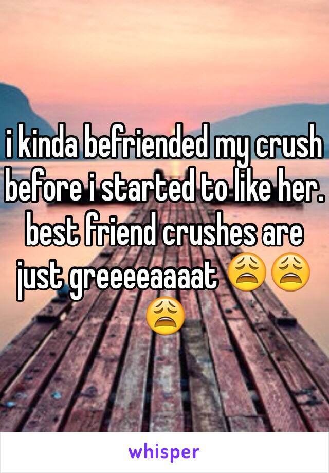 i kinda befriended my crush before i started to like her. best friend crushes are just greeeeaaaat 😩😩😩