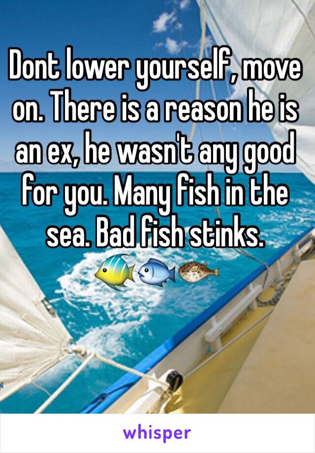 Dont lower yourself, move on. There is a reason he is an ex, he wasn't any good for you. Many fish in the sea. Bad fish stinks.
🐠🐟🐡