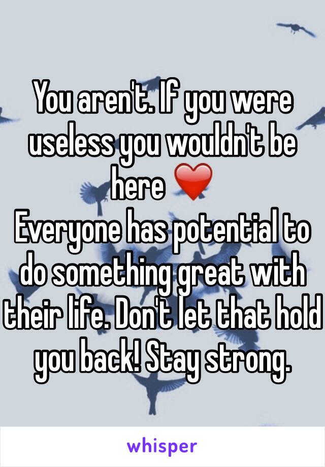 You aren't. If you were useless you wouldn't be here ❤️
Everyone has potential to do something great with their life. Don't let that hold you back! Stay strong. 