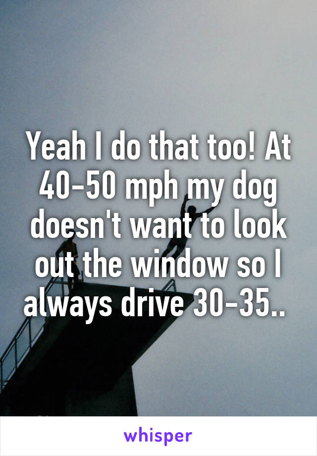 Yeah I do that too! At 40-50 mph my dog doesn't want to look out the window so I always drive 30-35.. 