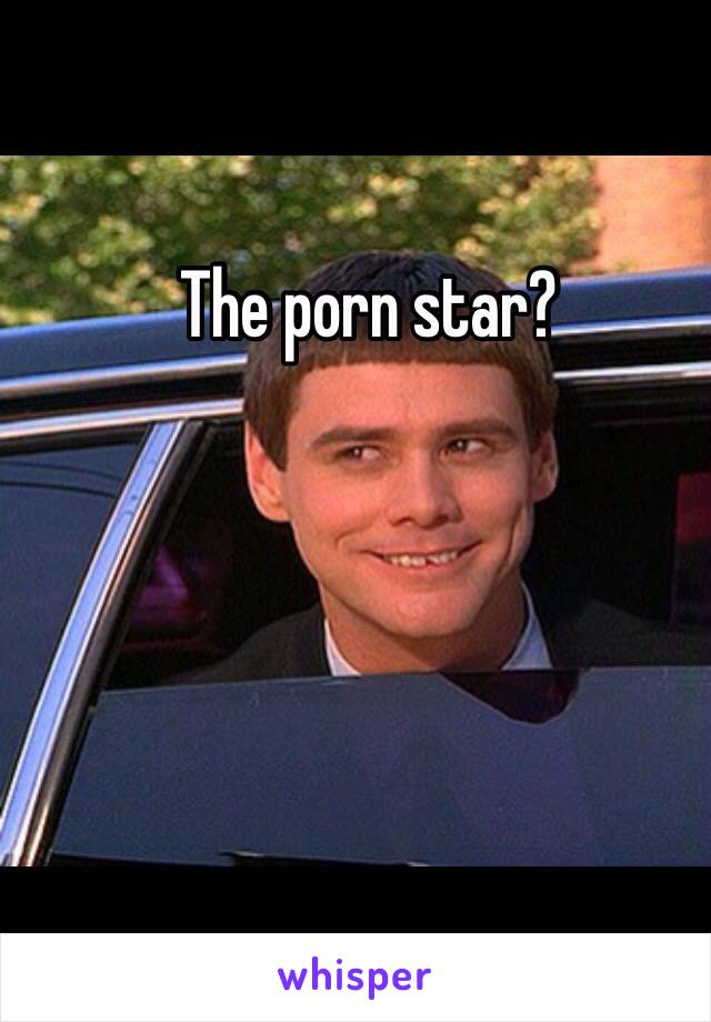 The porn star?