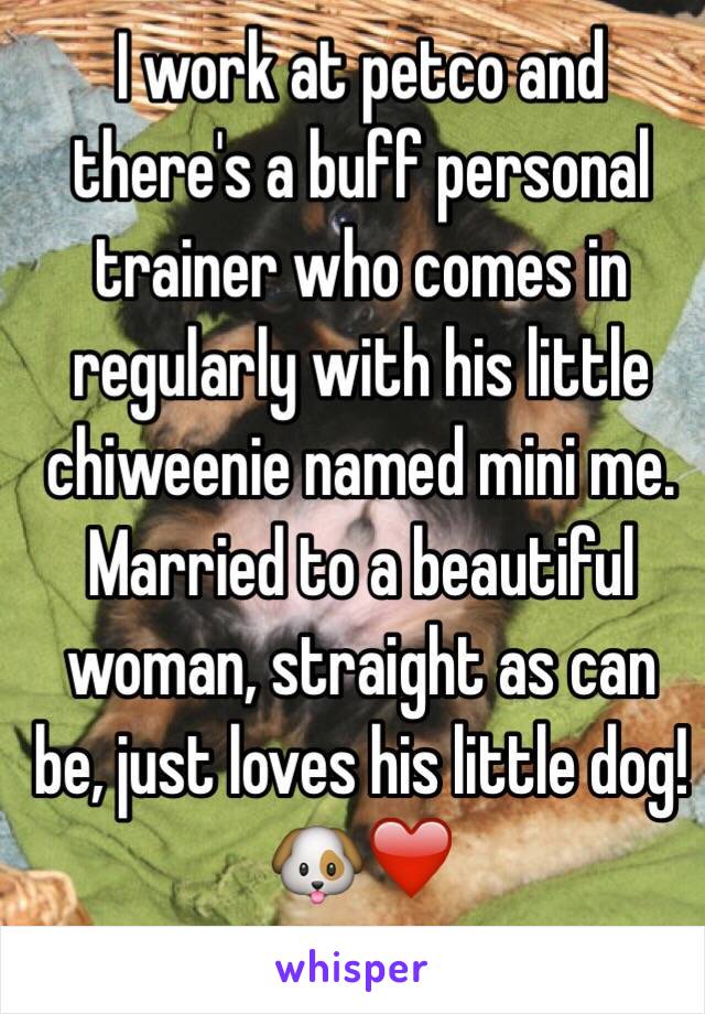 I work at petco and there's a buff personal trainer who comes in regularly with his little chiweenie named mini me. Married to a beautiful woman, straight as can be, just loves his little dog! 🐶❤️