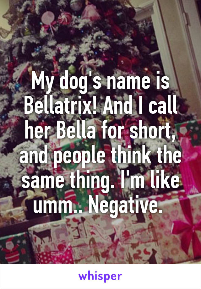 My dog's name is Bellatrix! And I call her Bella for short, and people think the same thing. I'm like umm.. Negative. 