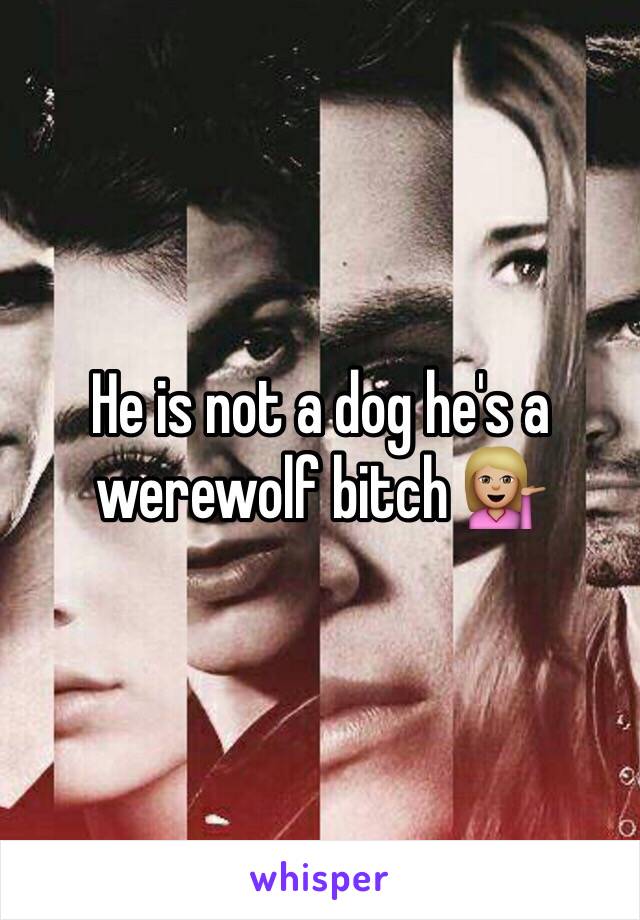 He is not a dog he's a werewolf bitch 💁🏼