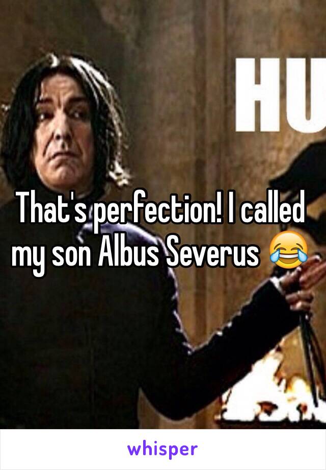 That's perfection! I called my son Albus Severus 😂