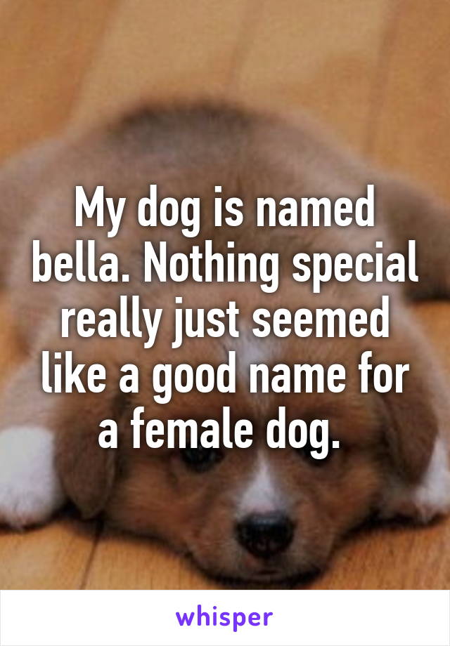 My dog is named bella. Nothing special really just seemed like a good name for a female dog. 