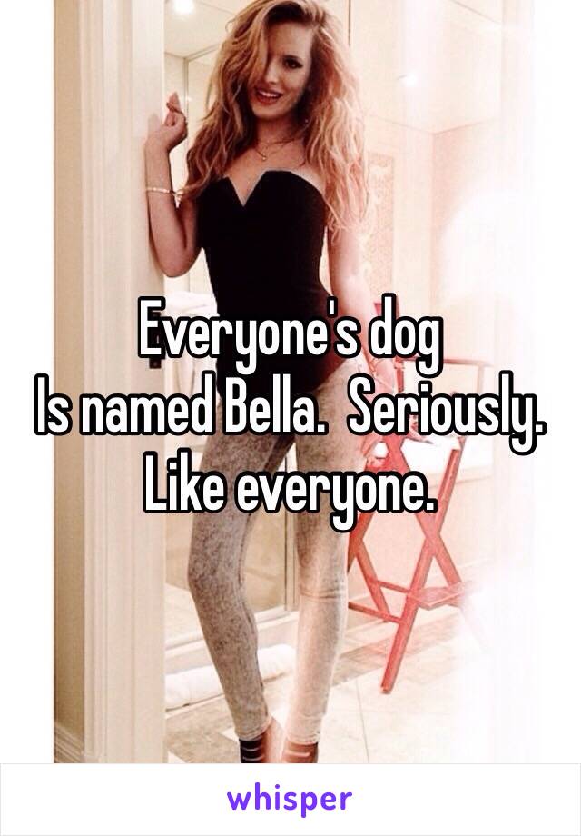 Everyone's dog
Is named Bella.  Seriously.  Like everyone.