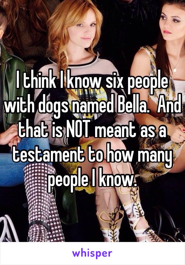 I think I know six people with dogs named Bella.  And that is NOT meant as a testament to how many people I know.