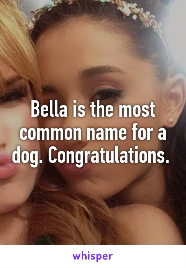 Bella is the most common name for a dog. Congratulations. 