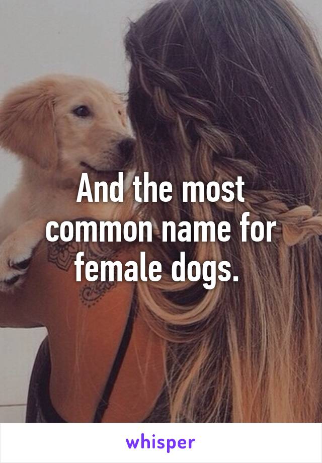 And the most common name for female dogs. 