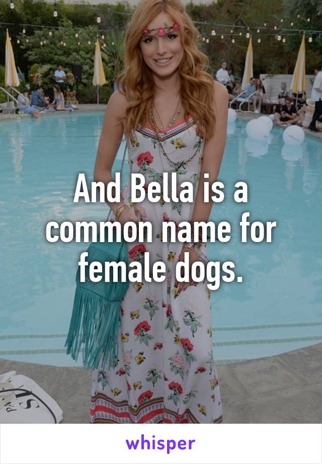 And Bella is a common name for female dogs.