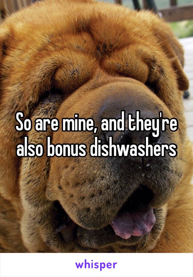 So are mine, and they're also bonus dishwashers