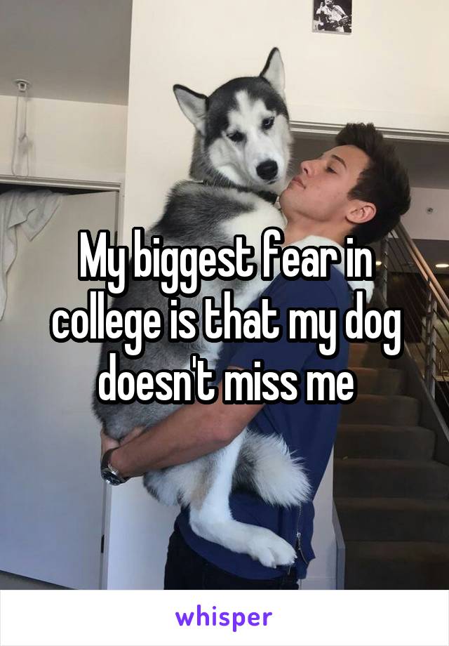 My biggest fear in college is that my dog doesn't miss me