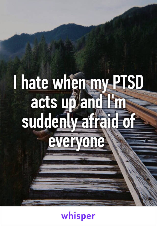 I hate when my PTSD acts up and I'm suddenly afraid of everyone 