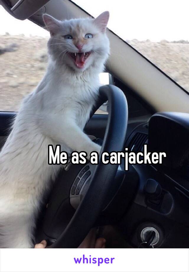 Me as a carjacker