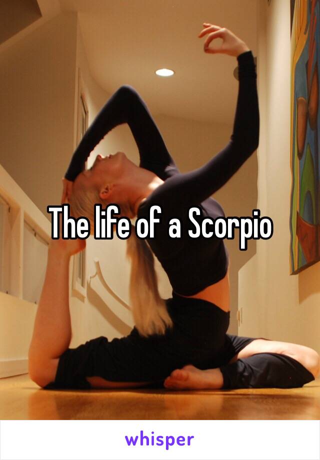 The life of a Scorpio 