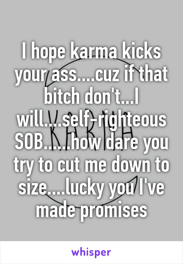 I hope karma kicks your ass....cuz if that bitch don't...I will....self-righteous SOB......how dare you try to cut me down to size....lucky you I've made promises