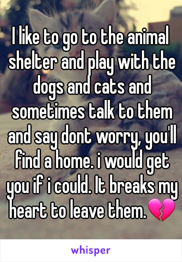 I like to go to the animal shelter and play with the dogs and cats and sometimes talk to them and say dont worry, you'll find a home. i would get you if i could. It breaks my heart to leave them.💔