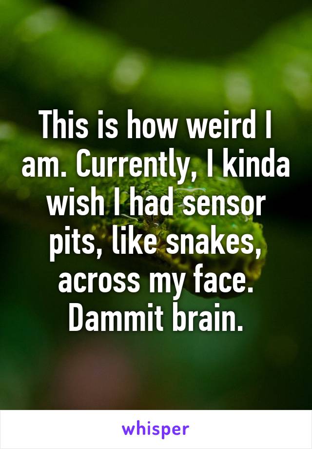 This is how weird I am. Currently, I kinda wish I had sensor pits, like snakes, across my face. Dammit brain.