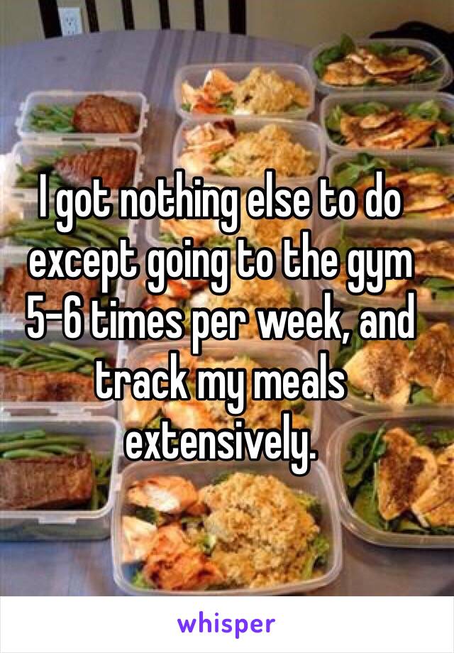 I got nothing else to do except going to the gym 5-6 times per week, and track my meals extensively. 