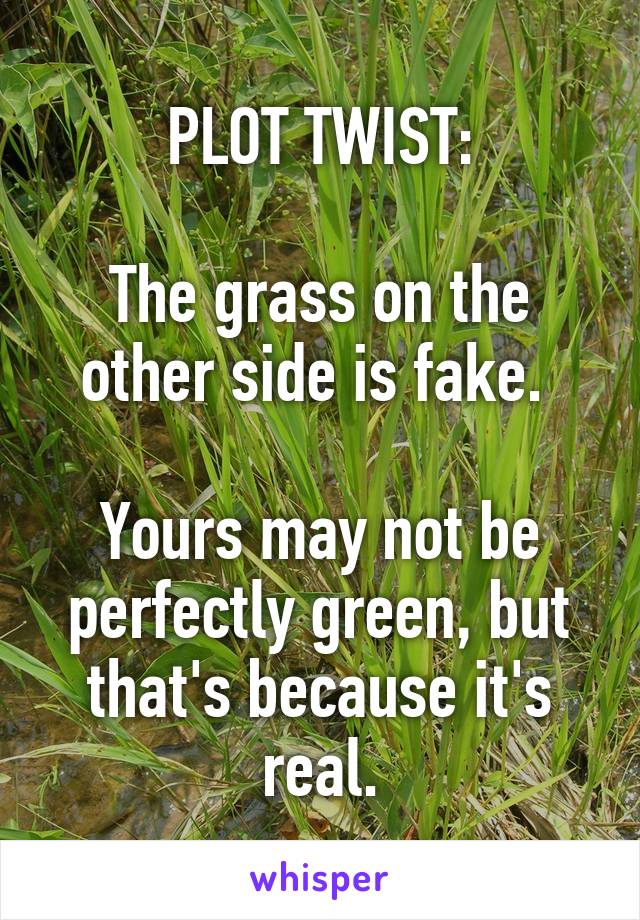 PLOT TWIST:

The grass on the other side is fake. 

Yours may not be perfectly green, but that's because it's real.