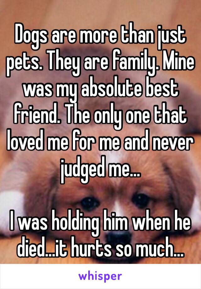 Dogs are more than just pets. They are family. Mine was my absolute best friend. The only one that loved me for me and never judged me...

I was holding him when he died...it hurts so much...