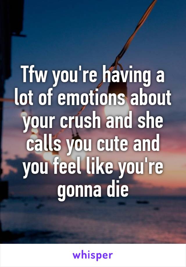 Tfw you're having a lot of emotions about your crush and she calls you cute and you feel like you're gonna die