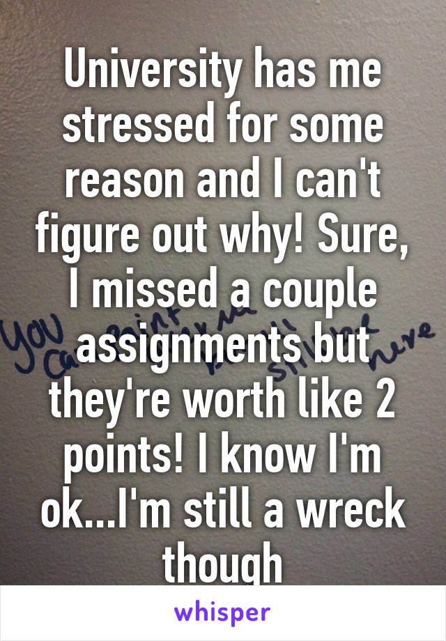 University has me stressed for some reason and I can't figure out why! Sure, I missed a couple assignments but they're worth like 2 points! I know I'm ok...I'm still a wreck though