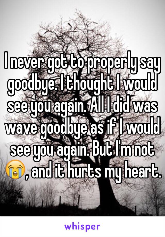 I never got to properly say goodbye. I thought I would see you again. All I did was wave goodbye as if I would see you again. But I'm not 😭, and it hurts my heart. 