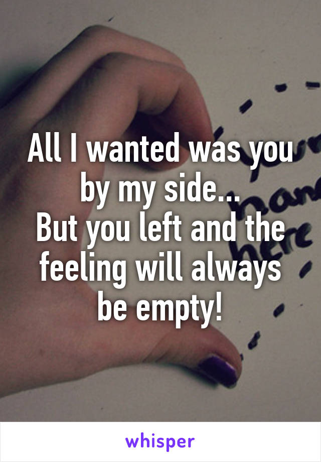 All I wanted was you by my side...
But you left and the feeling will always be empty!