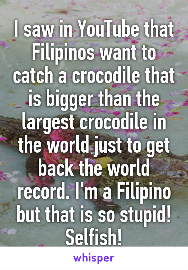 I saw in YouTube that Filipinos want to catch a crocodile that is bigger than the largest crocodile in the world just to get back the world record. I'm a Filipino but that is so stupid! Selfish!