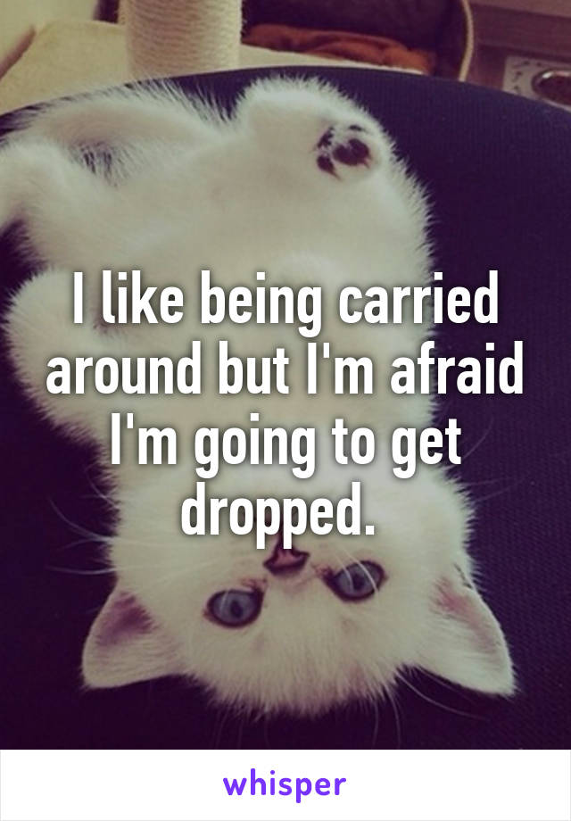 I like being carried around but I'm afraid I'm going to get dropped. 