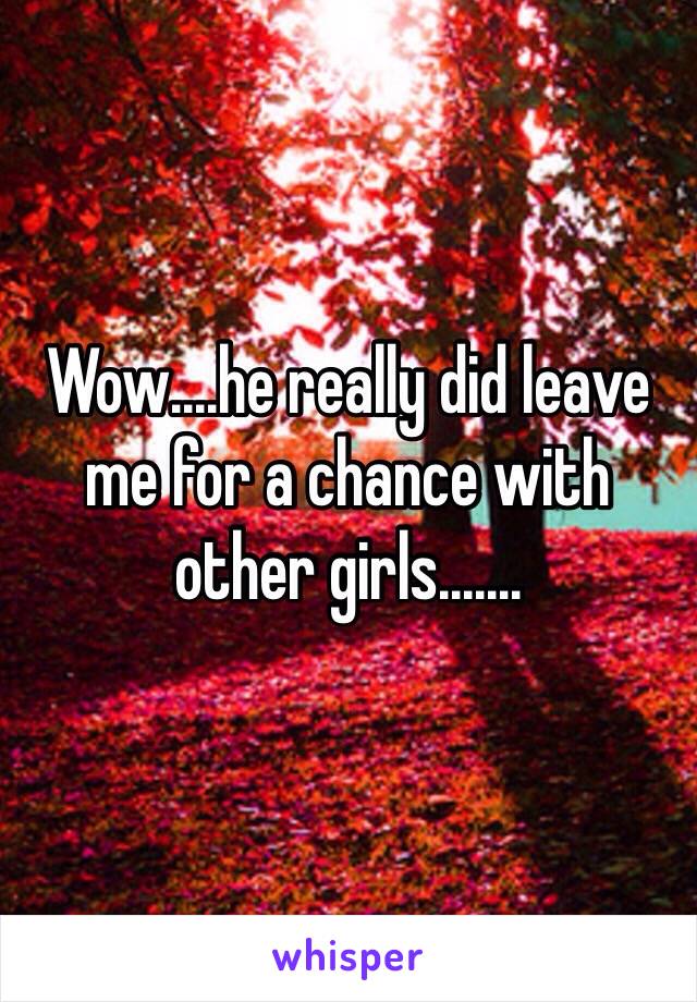 Wow....he really did leave me for a chance with other girls.......