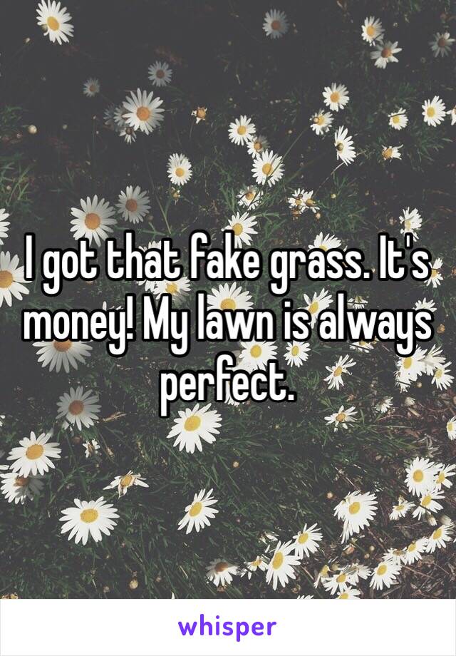 I got that fake grass. It's money! My lawn is always perfect. 