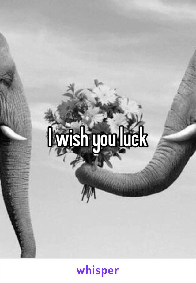 I wish you luck 