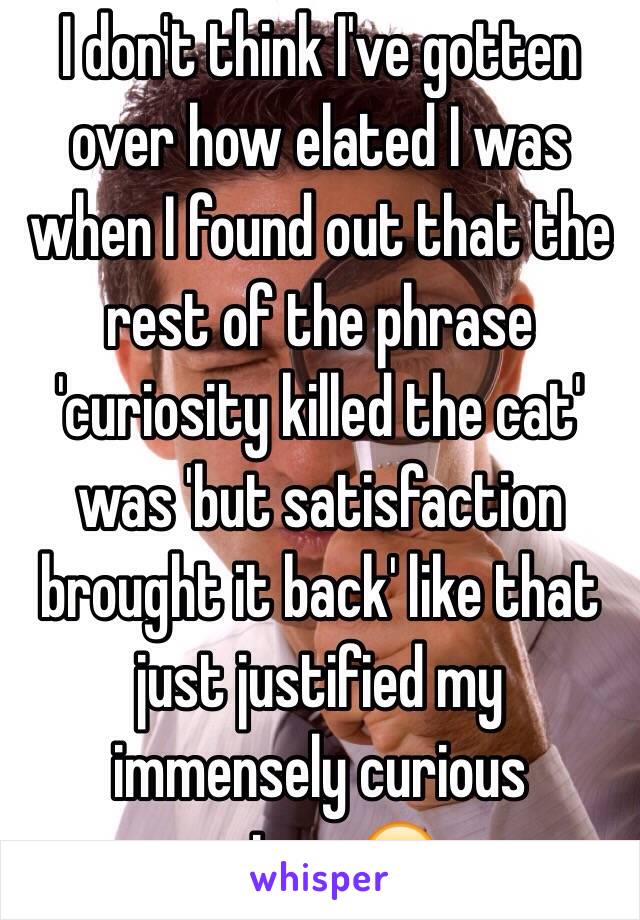 I don't think I've gotten over how elated I was when I found out that the rest of the phrase 'curiosity killed the cat' was 'but satisfaction brought it back' like that just justified my immensely curious nature😏