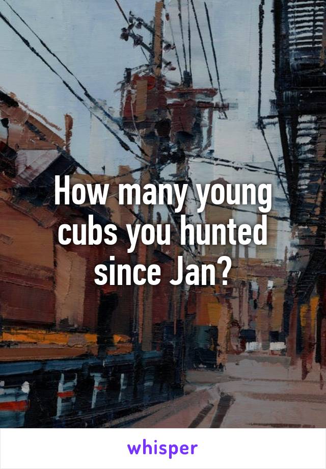 How many young cubs you hunted since Jan?