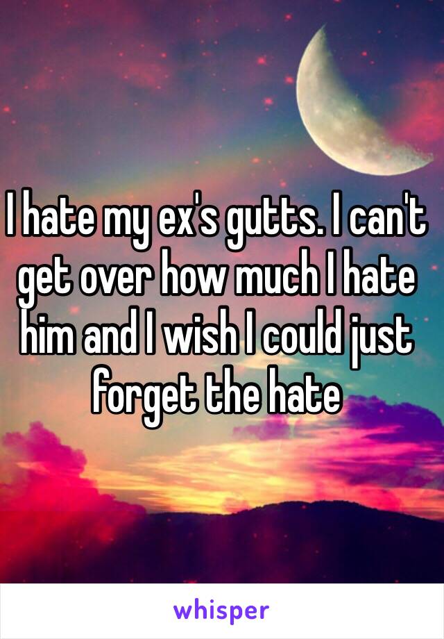 I hate my ex's gutts. I can't get over how much I hate him and I wish I could just forget the hate