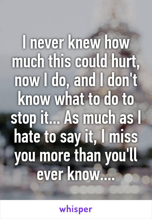 I never knew how much this could hurt, now I do, and I don't know what to do to stop it... As much as I hate to say it, I miss you more than you'll ever know....