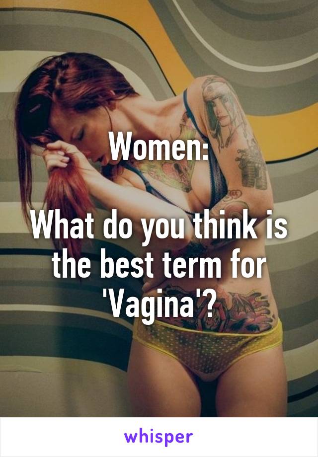 Women:

What do you think is the best term for 'Vagina'?